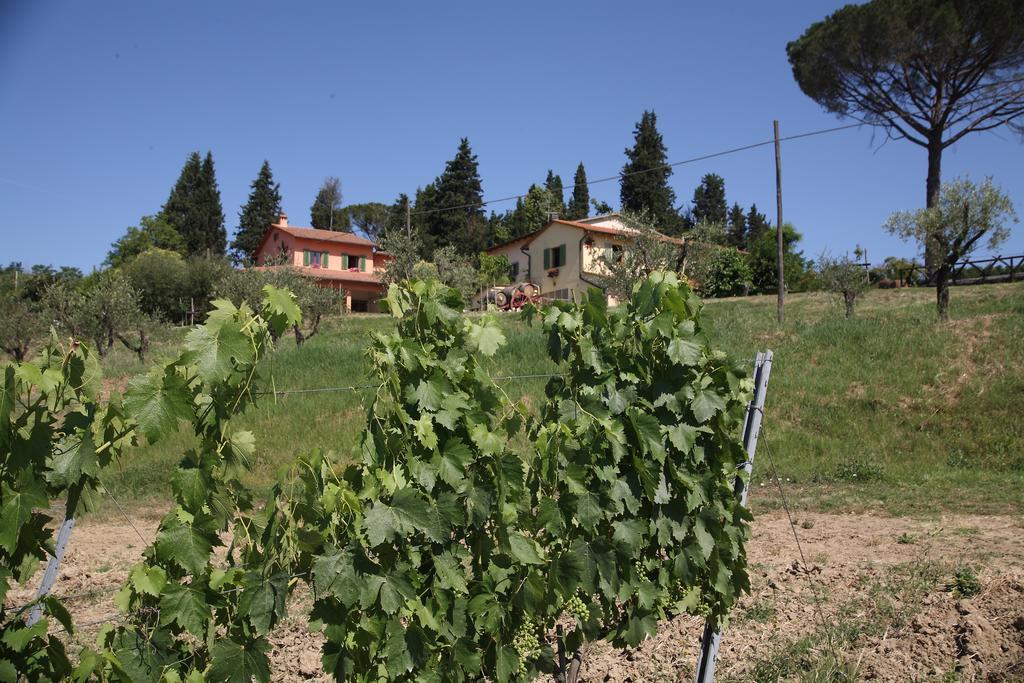 Agriturismo Podere Poggio Ai Cieli San Gimignano Dış mekan fotoğraf